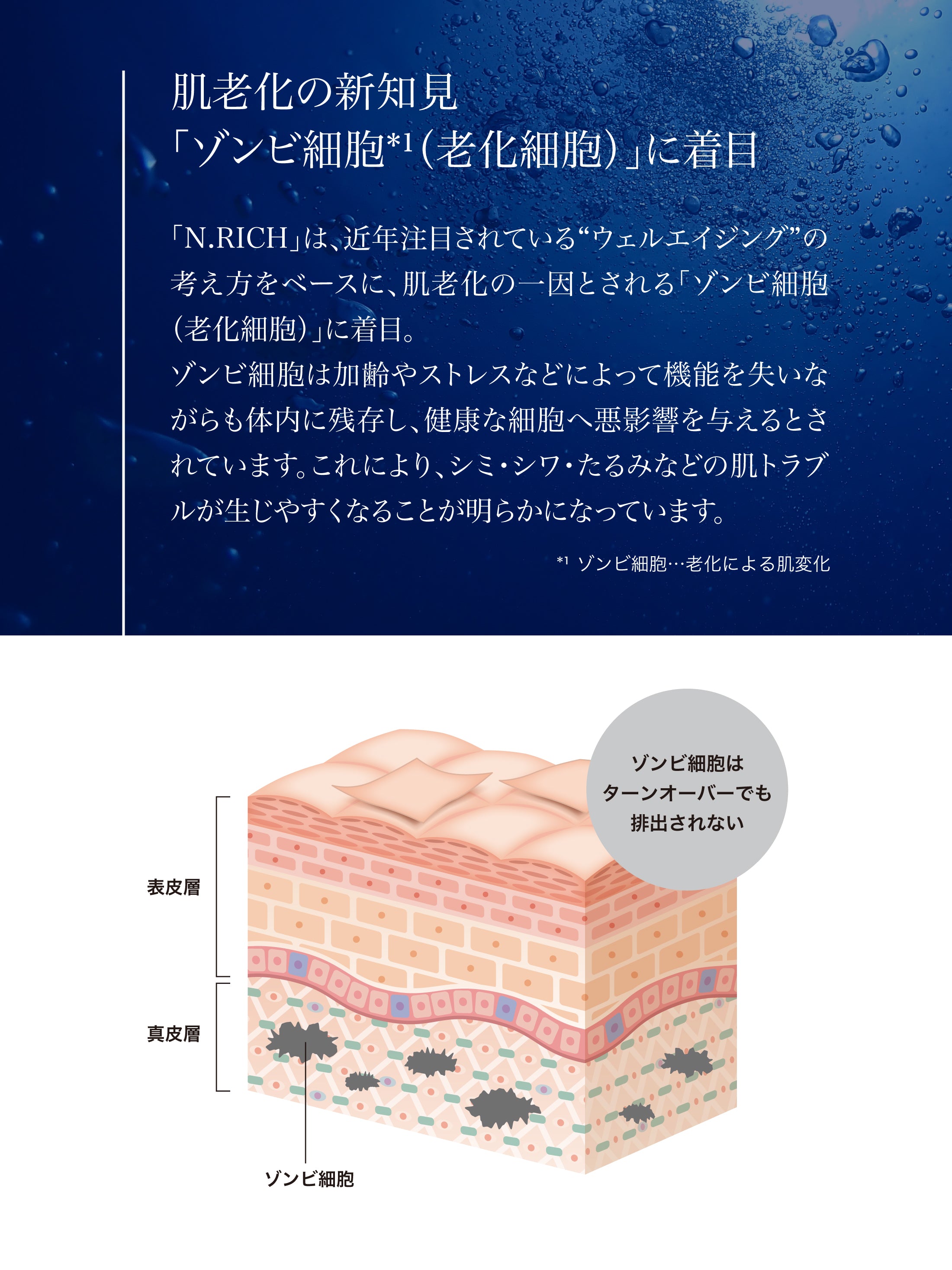 エヌリッチ ローション
