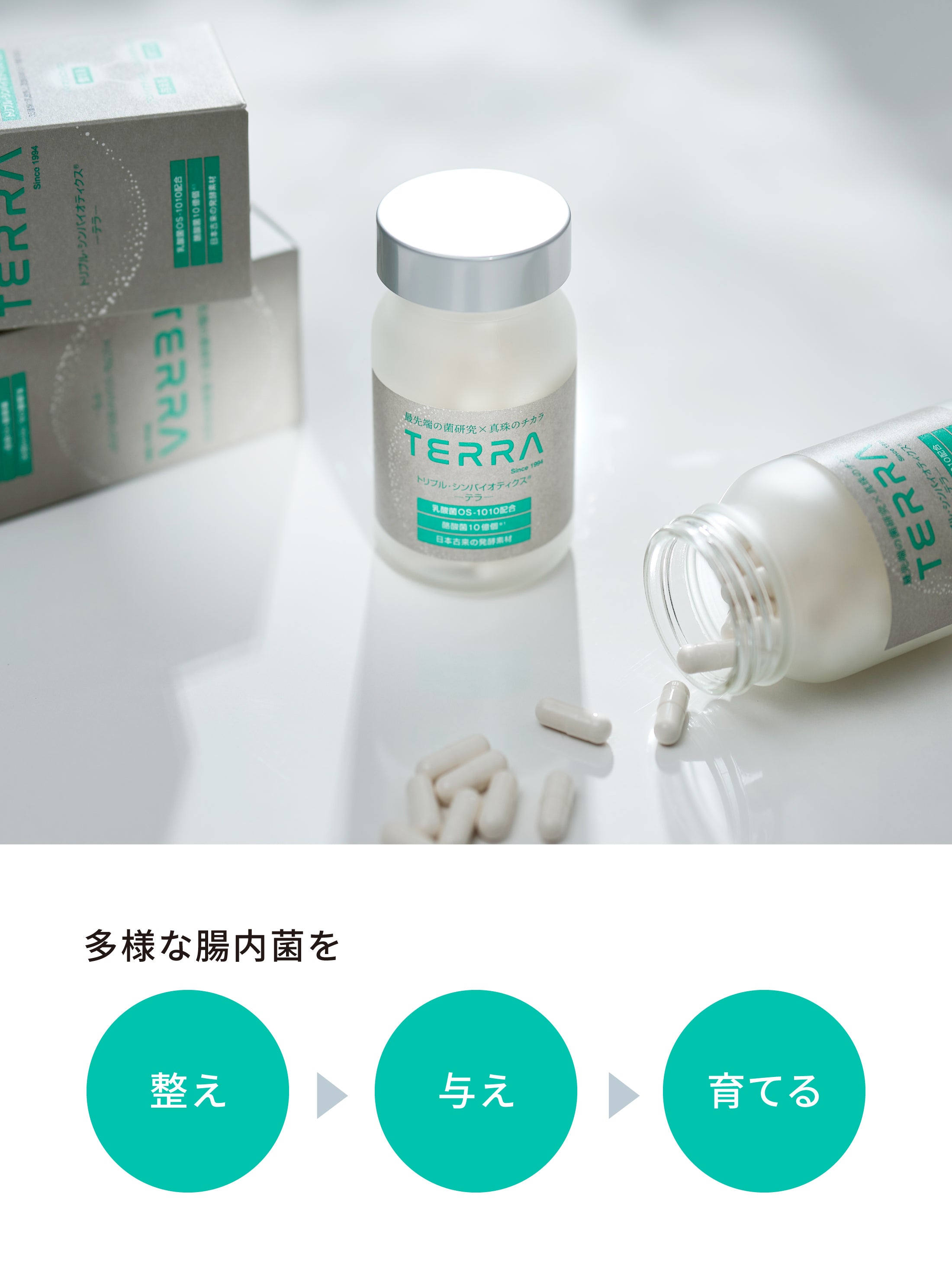 TERRA(テラ) 次世代腸活エイジングケアサプリメント 特許成分 植物性乳酸菌OS-1010配合