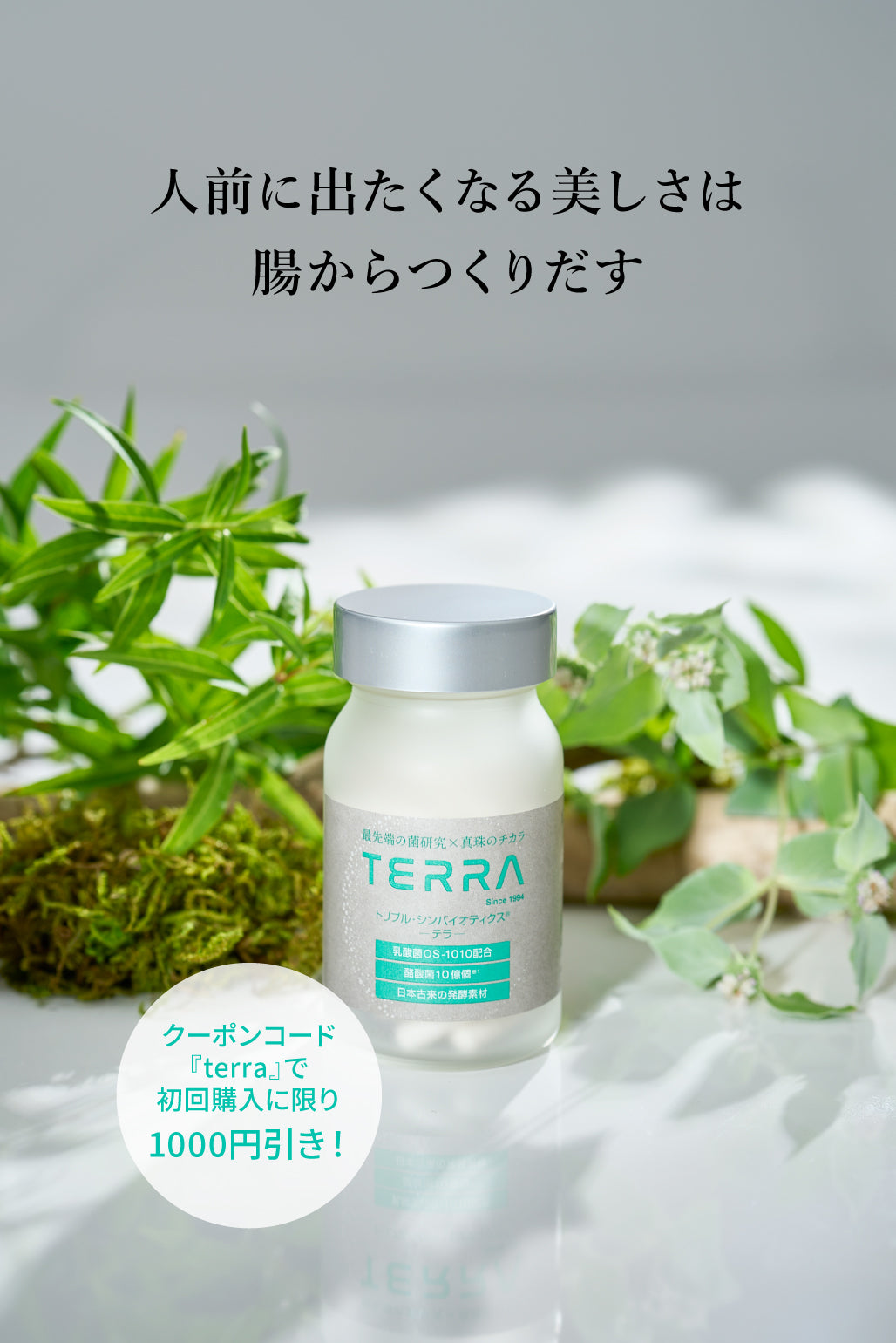 TERRA(テラ)　次世代腸活美肌サプリメント