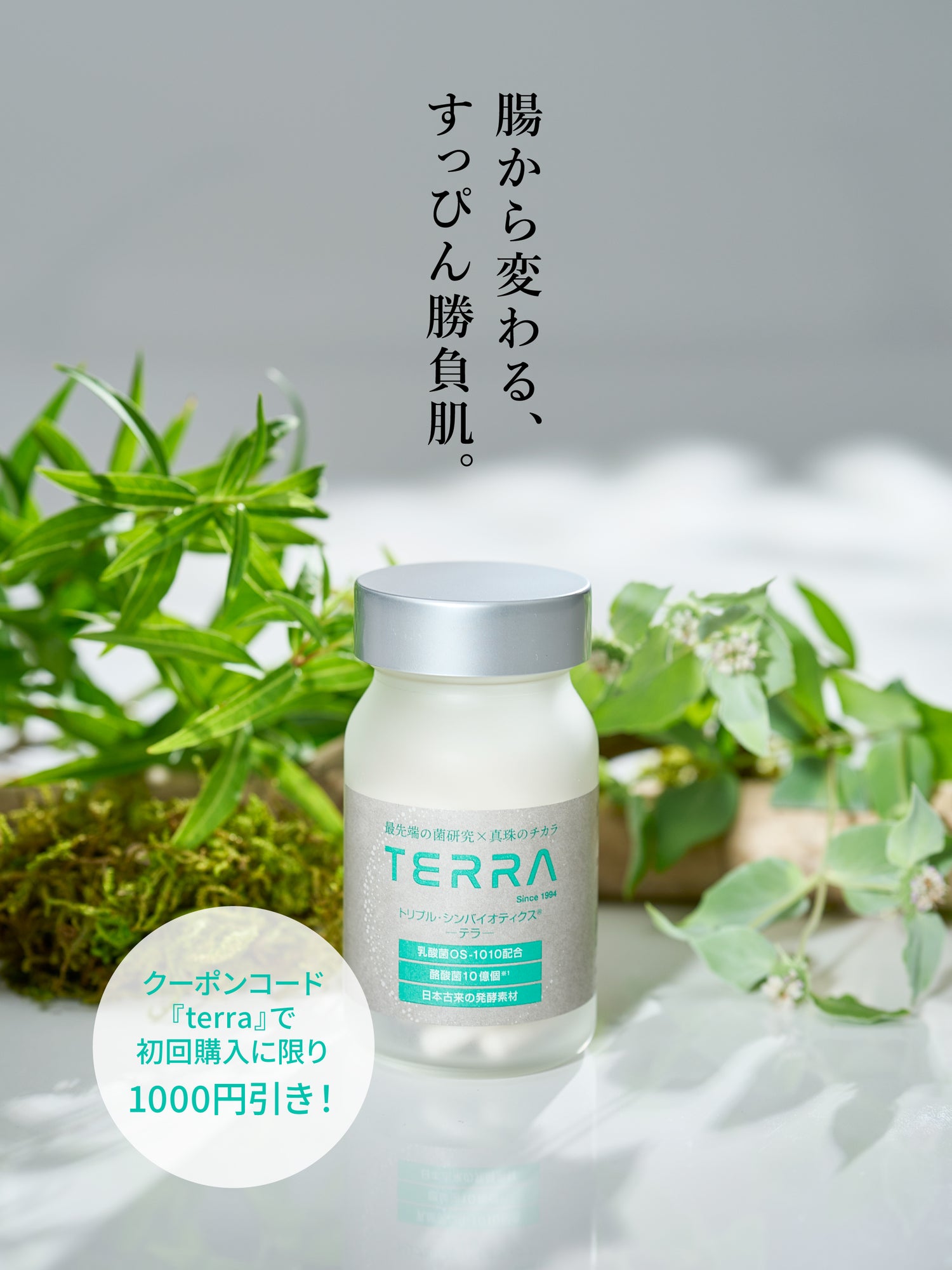 TERRA(テラ)　次世代腸活美肌サプリメント