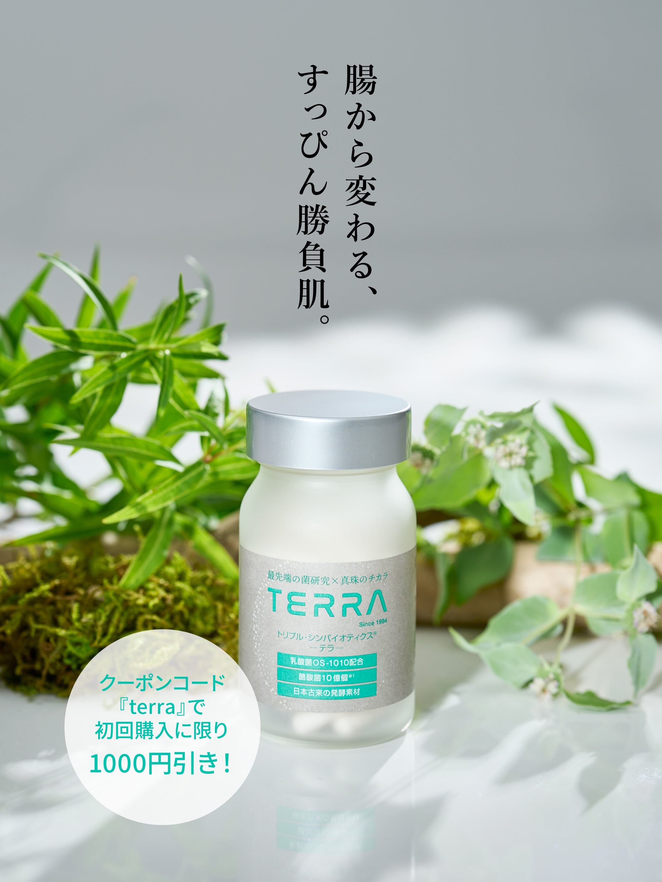 TERRA(テラ)　次世代腸活美肌サプリメント