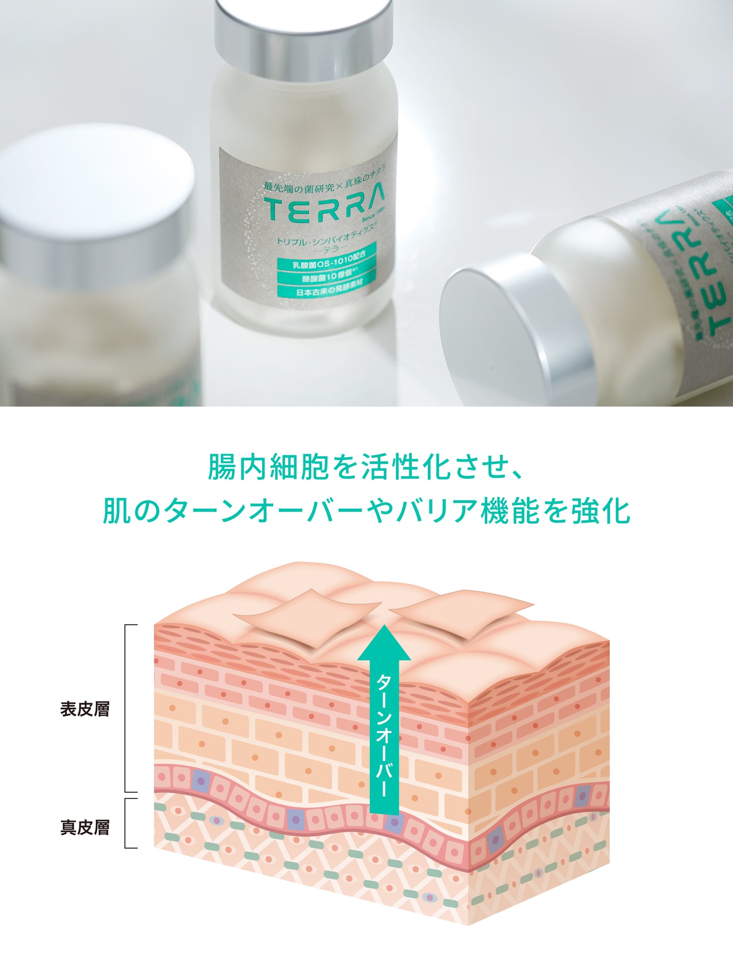 TERRA(テラ)　次世代腸活美肌サプリメント