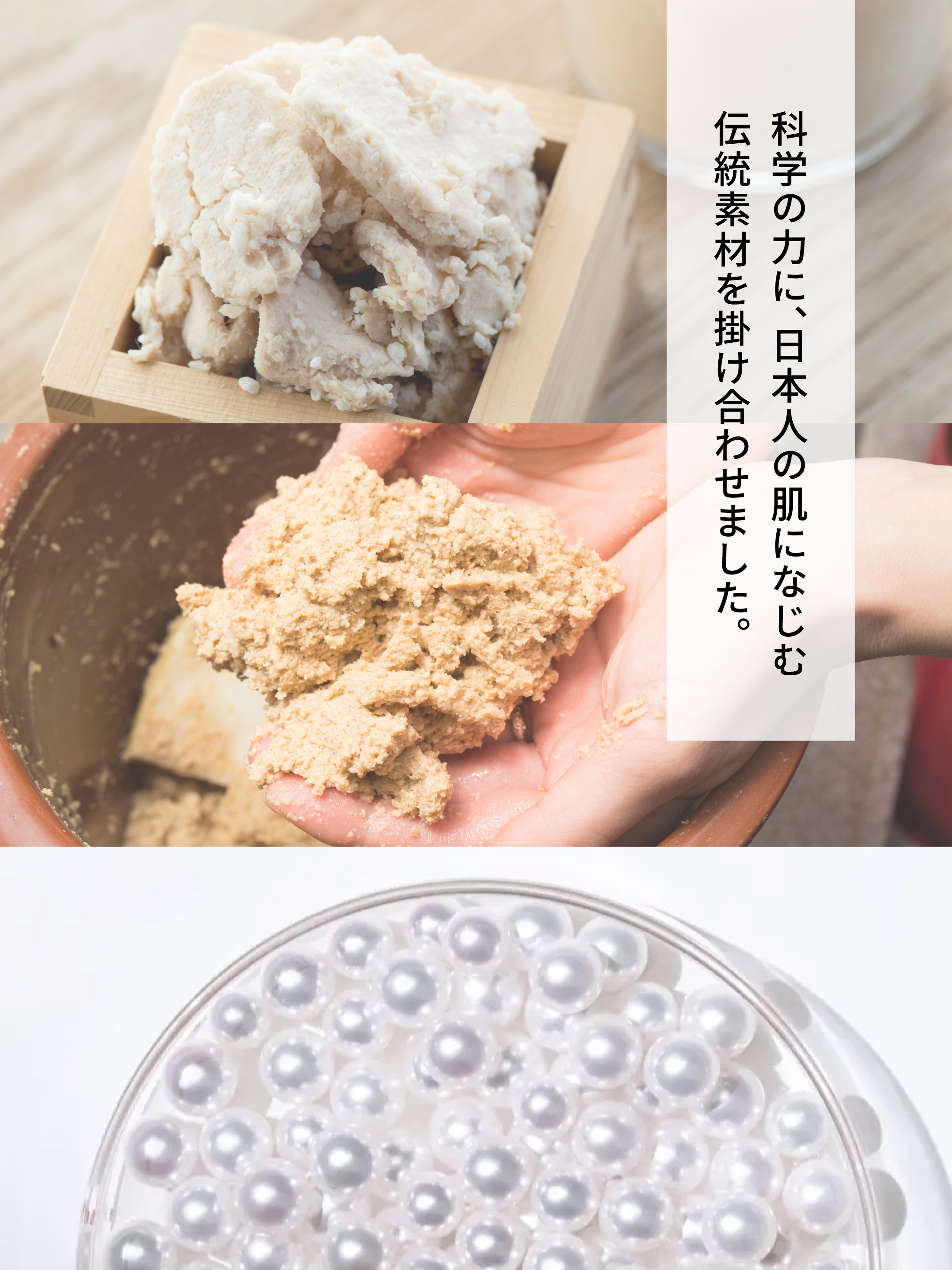 TERRA(テラ)　次世代腸活美肌サプリメント
